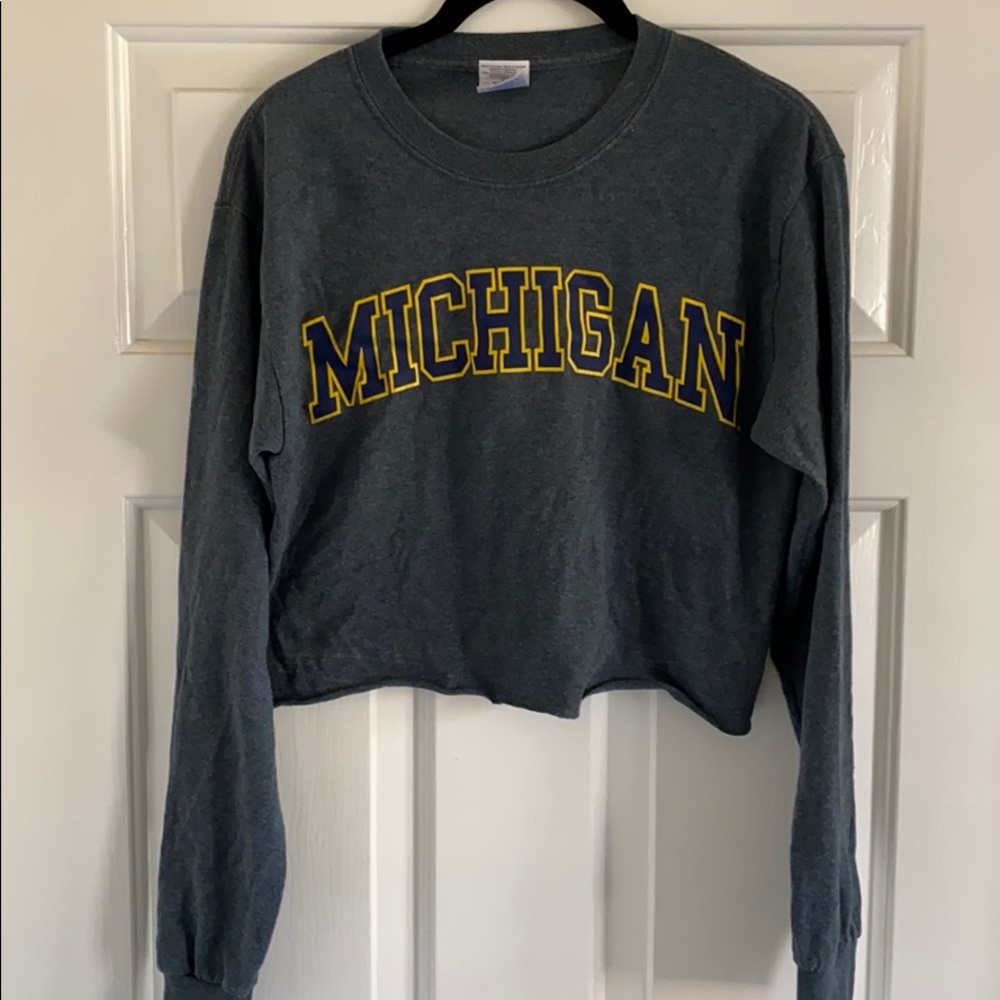 University of Michigan small gray crop top